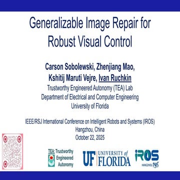 Generalizable Image Repair for Robust Visual Control