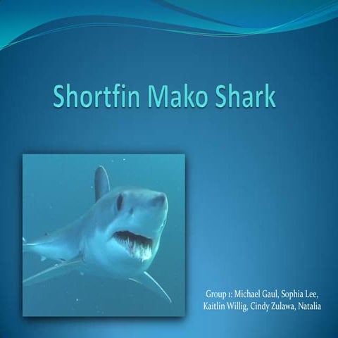 Shortfin mako shark | PPT