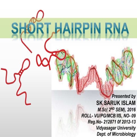 Short hairpin rna