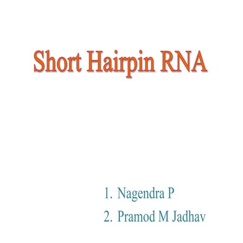 Short hairpin rna 