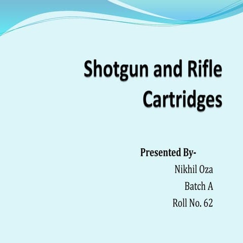 Shotgun and rifle cartridges