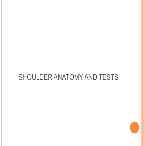 Shoulder anatomy and examination