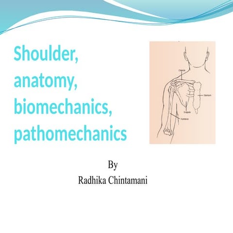 Shoulder  anatomy__biomechanics__pathomechanics