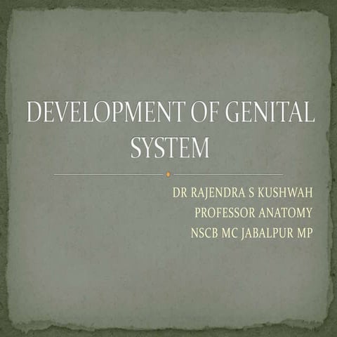 develpoment of genital system 