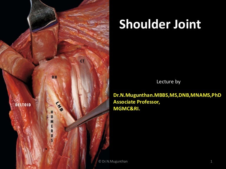Shoulder Joint -pdf lecture notes Dr.N.Mugunthan.M.S