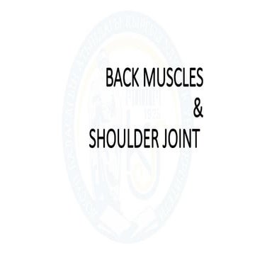 Deltoid muscle, origin insertion and movement | PPT