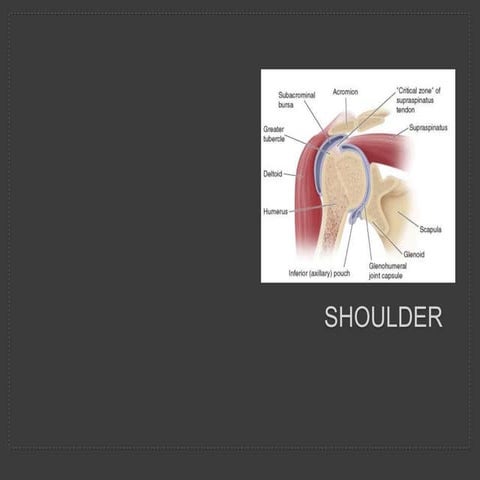 proximal humerus fracture fixation teaching 