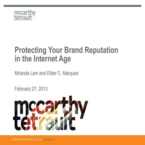 Brand Protection in the Internet Age