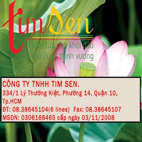 Bố cục, cấu trúc sách 29% Solution BNI | PPTX