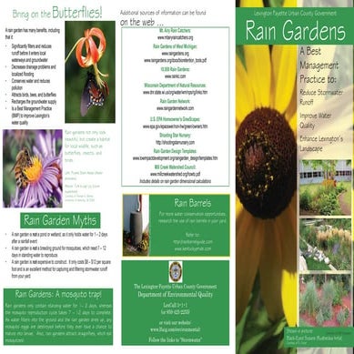 Lexington Fayette Urban County: Rain Gardens | PDF
