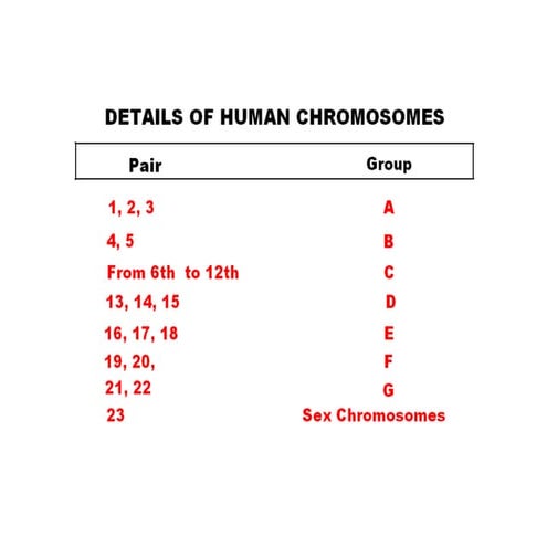 Showing details of human chromosomes and its abnormalities by s ...