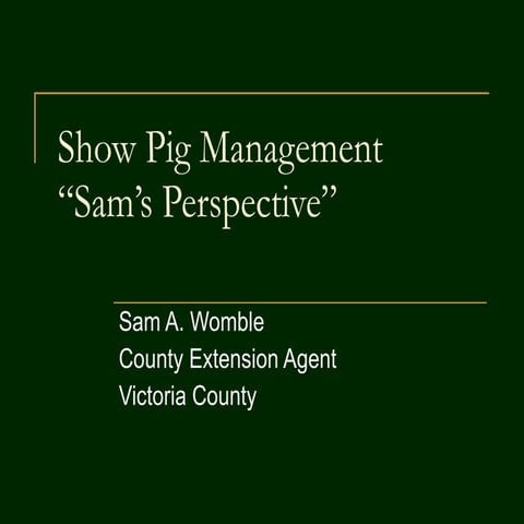 Show pig management