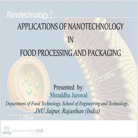 Nanotechnology in food industry | PPTX