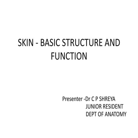 ppt skin - layers of skin in the human body