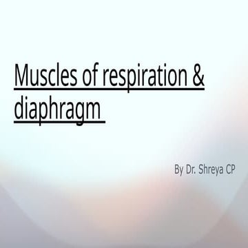 Respiratory muscles functioning and anatomy