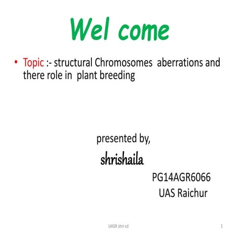 Structural chromosome aberrations 