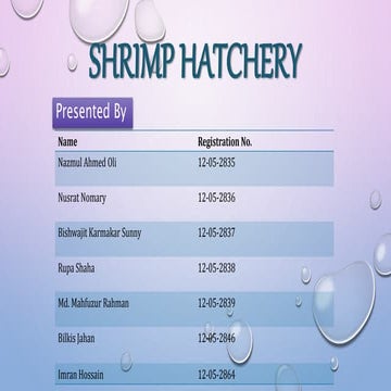 Shrimp hatchery