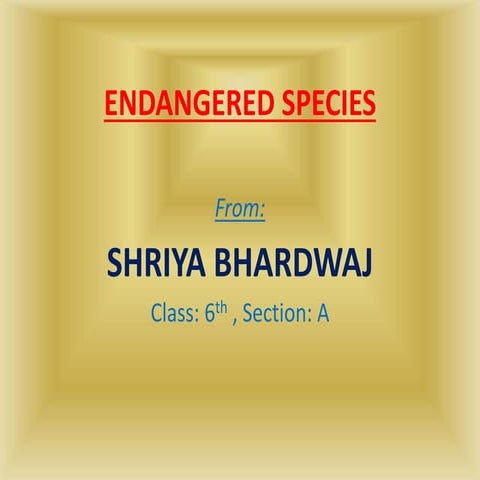 world endangered species