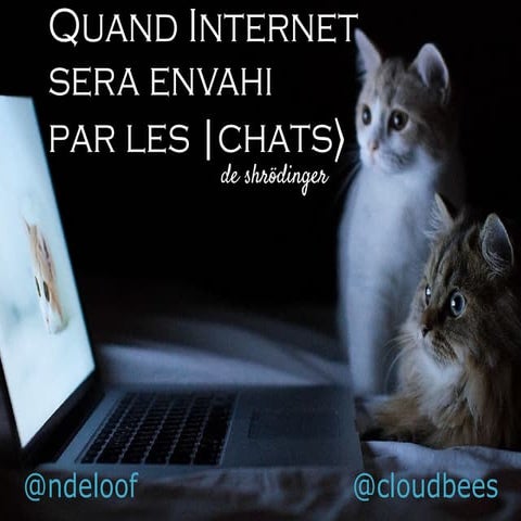 Quand Internet sera gouvernée par les |chats> de Shrödinger