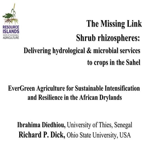 Shrub rhizo microbiol hydo gates bamako 2014 r dick