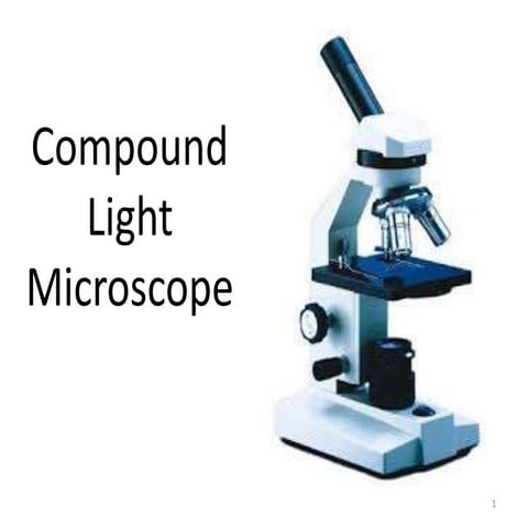 compound microscope (basic)