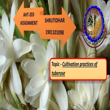 HORTICULTURE ,TUBEROSE