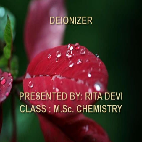 Deionizer