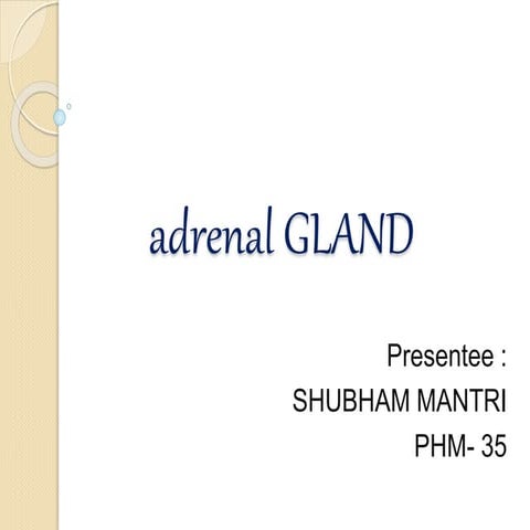 Adrenal Gland