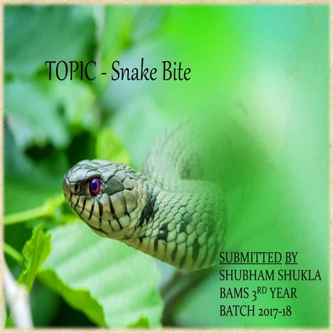 SHUBHAM SHUKLA ROLL NO - 47 SNAKE BITE.pptx