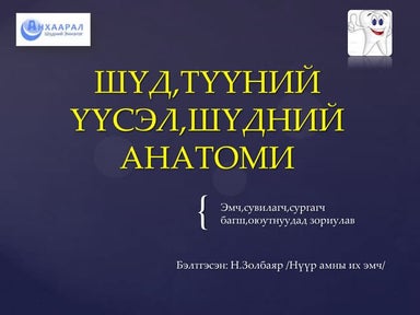 амны хөндийн эрүүл мэнд | PDF