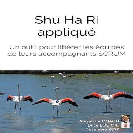 Shu ha ri appliqué - prendre son envol sans le/la SCRUM Master