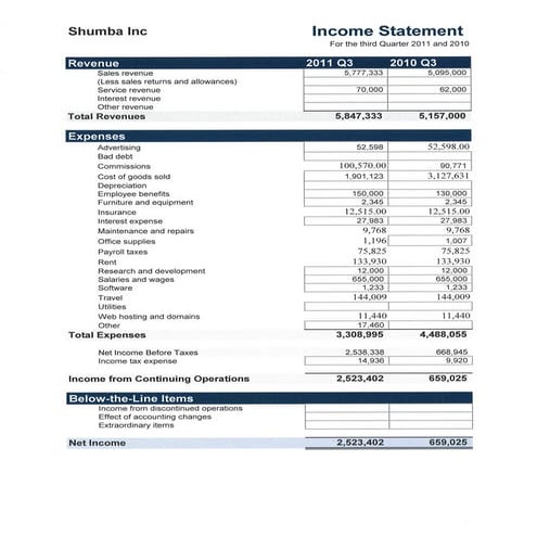 Shumba income statement | PDF