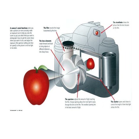 DIGITAL CAMERA SHUTTER SPEED