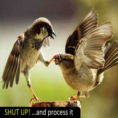 Shut up and process it