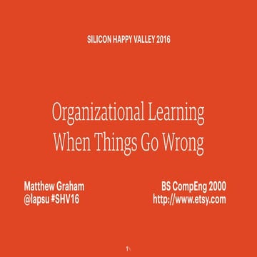 Organizational Learning When Things Go Wrong