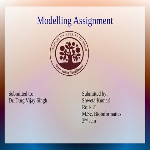 modelling assignment