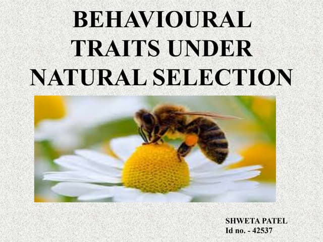 BEHAVIOURAL TRAITS UNDER NATURAL SELECTION