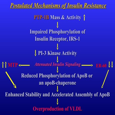 183 postulated mechanisms of insulin resistance
