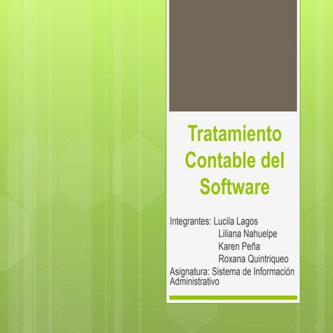 Tratamiento Contable del Software