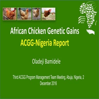 African Chicken Genetic Gains: ACGG...