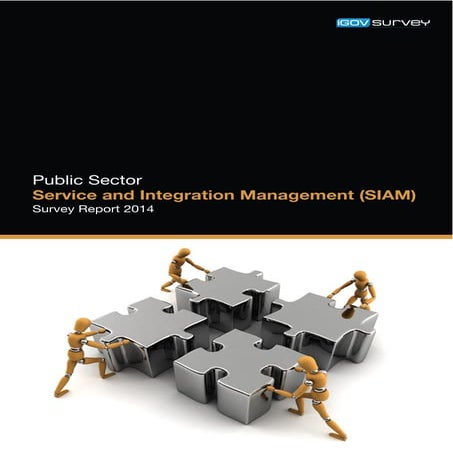 SIAM Survey Report | PDF