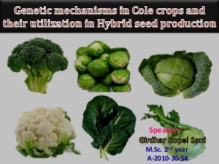 how to make squishies easy