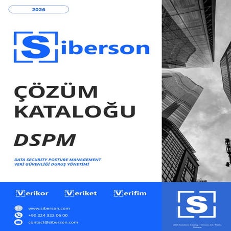 Siberson DSPM for Data Security Controls | PDF