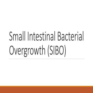 Small Intestinal Bacterial Overgrowth (SIBO)