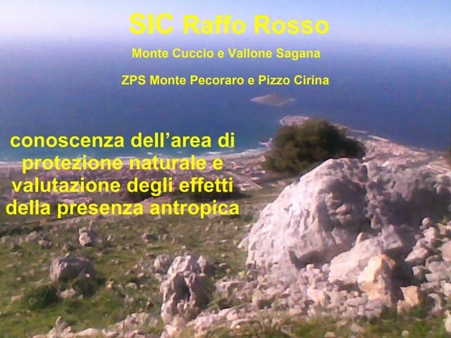 Sic Zps di Raffo Rosso