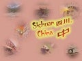 Sichuan (CHINA2) # $