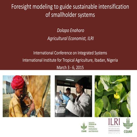 Foresight modeling to guide sustainable intensification of smallholder systems