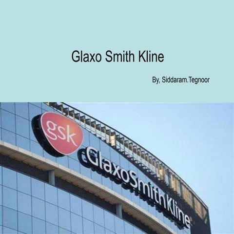 Glaxosmithkline portfolio