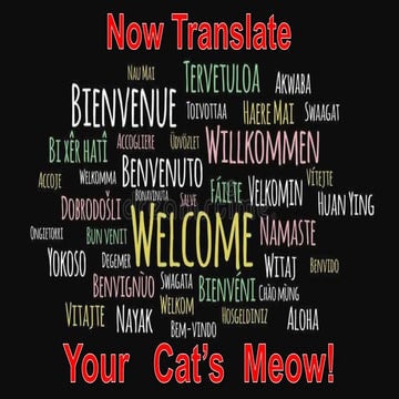 SiddhantSancheti_MediumShortStory.pptx