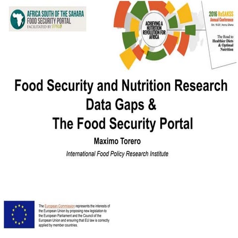 Food Security and Nutrition Research  Data Gaps &  The Food Security Portal